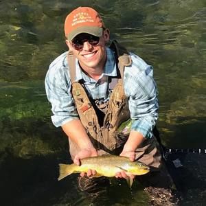 Meet your Posher, Alec